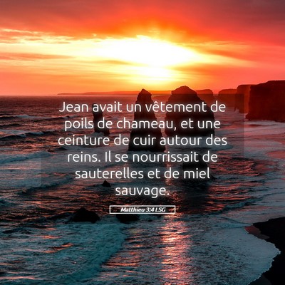 Picture 05 - Matthieu 3:4 LSG - Jean avait un vêtement de poils de chameau, et - Bible Verse Picture