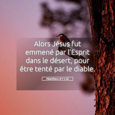 Picture 05 - Matthieu 4:1 LSG - Alors Jésus fut emmené par l'Esprit dans le - Bible Verse Picture