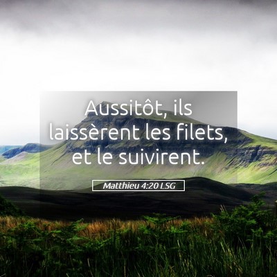 Picture 05 - Matthieu 4:20 LSG - Aussitôt, ils laissèrent les filets, et le - Bible Verse Picture