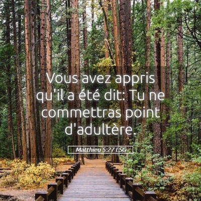 Picture 05 - Matthieu 5:27 LSG - Vous avez appris qu'il a été dit: Tu ne - Bible Verse Picture