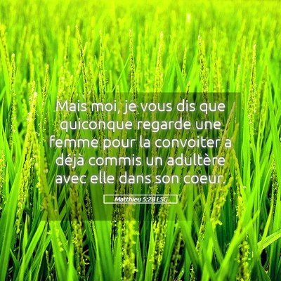 Picture 05 - Matthieu 5:28 LSG - Mais moi, je vous dis que quiconque regarde une - Bible Verse Picture