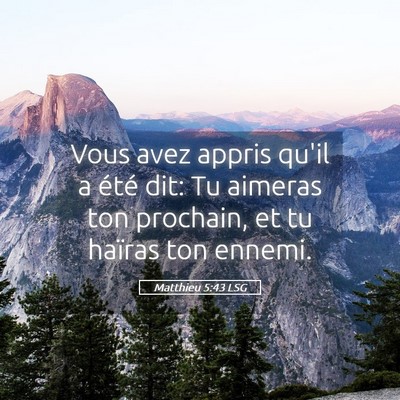 Picture 05 - Matthieu 5:43 LSG - Vous avez appris qu'il a été dit: Tu aimeras - Bible Verse Picture