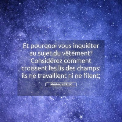 Picture 05 - Matthieu 6:28 LSG - Et pourquoi vous inquiéter au sujet du - Bible Verse Picture