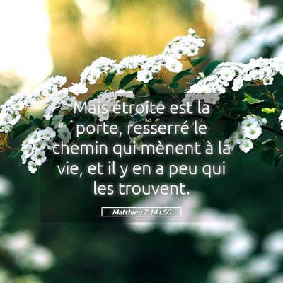 Picture 05 - Matthieu 7:14 LSG - Mais étroite est la porte, resserré le chemin - Bible Verse Picture
