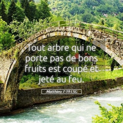 Picture 05 - Matthieu 7:19 LSG - Tout arbre qui ne porte pas de bons fruits est - Bible Verse Picture