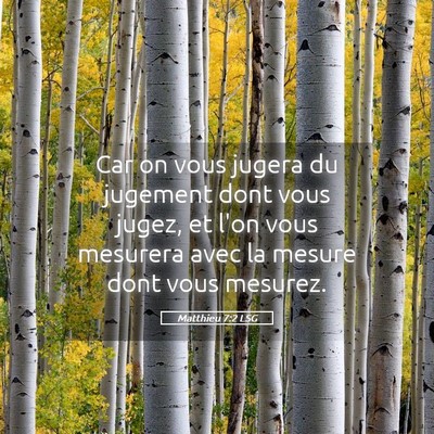 Picture 05 - Matthieu 7:2 LSG - Car on vous jugera du jugement dont vous jugez, - Bible Verse Picture