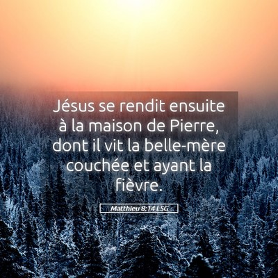 Picture 05 - Matthieu 8:14 LSG - Jésus se rendit ensuite à la maison de Pierre, - Bible Verse Picture