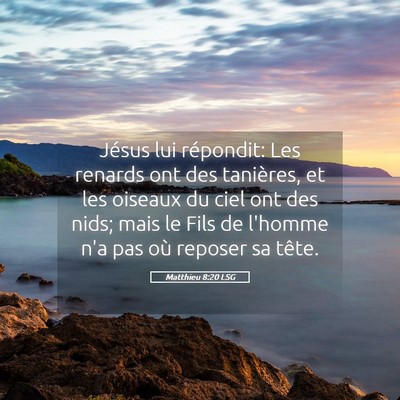 Picture 05 - Matthieu 8:20 LSG - Jésus lui répondit: Les renards ont des - Bible Verse Picture