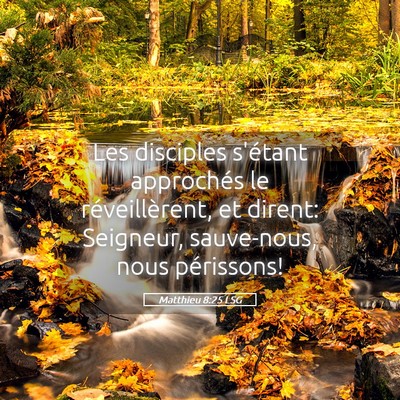 Picture 05 - Matthieu 8:25 LSG - Les disciples s'étant approchés le - Bible Verse Picture