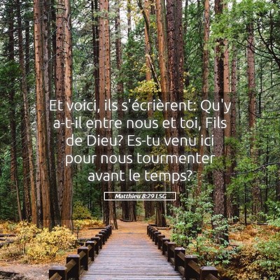 Picture 05 - Matthieu 8:29 LSG - Et voici, ils s'écrièrent: Qu'y a-t-il entre - Bible Verse Picture