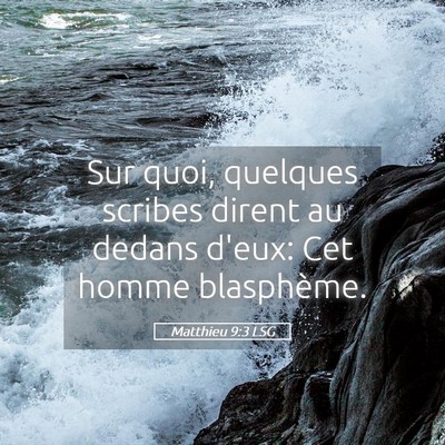 Picture 05 - Matthieu 9:3 LSG - Sur quoi, quelques scribes dirent au dedans - Bible Verse Picture