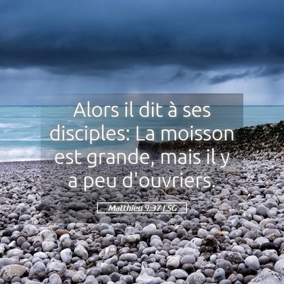 Picture 05 - Matthieu 9:37 LSG - Alors il dit à ses disciples: La moisson est - Bible Verse Picture