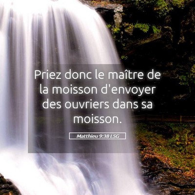 Picture 05 - Matthieu 9:38 LSG - Priez donc le maître de la moisson d'envoyer des - Bible Verse Picture