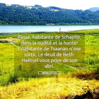 Picture 05 - Michée 1:11 LSG - Passe, habitante de Schaphir, dans la nudité et - Bible Verse Picture