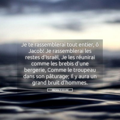 Picture 05 - Michée 2:12 LSG - Je te rassemblerai tout entier, ô Jacob! Je - Bible Verse Picture