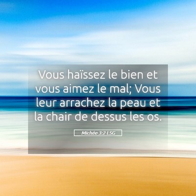 Picture 05 - Michée 3:2 LSG - Vous haïssez le bien et vous aimez le mal; Vous - Bible Verse Picture