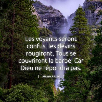 Picture 05 - Michée 3:7 LSG - Les voyants seront confus, les devins rougiront, - Bible Verse Picture