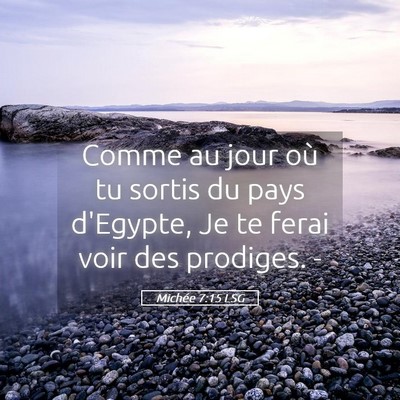 Picture 05 - Michée 7:15 LSG - Comme au jour où tu sortis du pays d'Egypte, Je - Bible Verse Picture
