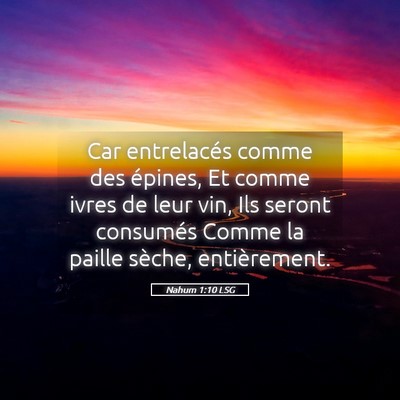 Picture 05 - Nahum 1:10 LSG - Car entrelacés comme des épines, Et comme ivres - Bible Verse Picture
