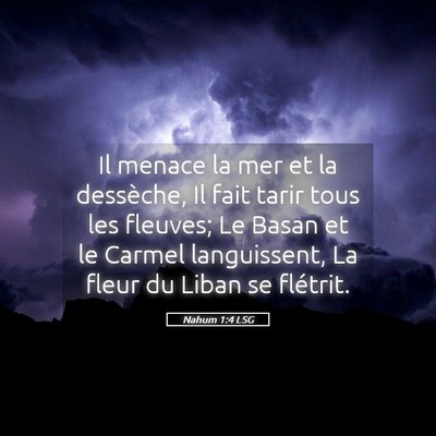 Picture 05 - Nahum 1:4 LSG - Il menace la mer et la dessèche, Il fait tarir - Bible Verse Picture