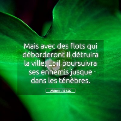 Picture 05 - Nahum 1:8 LSG - Mais avec des flots qui déborderont Il détruira - Bible Verse Picture