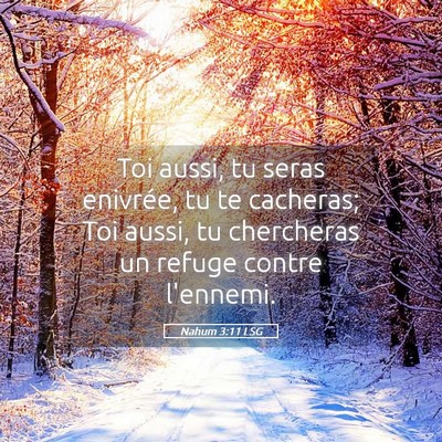 Picture 05 - Nahum 3:11 LSG - Toi aussi, tu seras enivrée, tu te cacheras; Toi - Bible Verse Picture