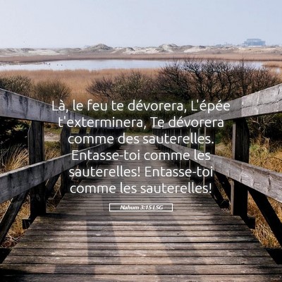 Picture 05 - Nahum 3:15 LSG - Là, le feu te dévorera, L'épée t'exterminera, - Bible Verse Picture