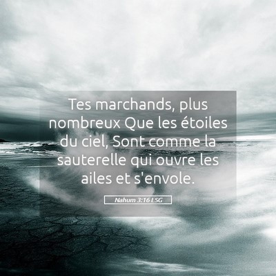 Picture 05 - Nahum 3:16 LSG - Tes marchands, plus nombreux Que les étoiles du - Bible Verse Picture
