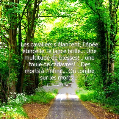 Picture 05 - Nahum 3:3 LSG - Les cavaliers s'élancent, l'épée étincelle, - Bible Verse Picture