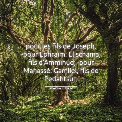 Picture 05 - Nombres 1:10 LSG - pour les fils de Joseph, -pour Ephraïm: - Bible Verse Picture
