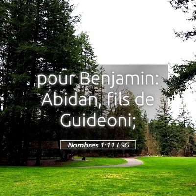 Picture 05 - Nombres 1:11 LSG - pour Benjamin: Abidan, fils de - Bible Verse Picture