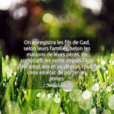 Picture 05 - Nombres 1:24 LSG - On enregistra les fils de Gad, selon leurs - Bible Verse Picture