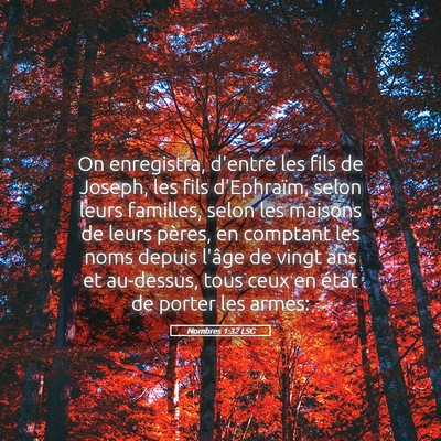 Picture 05 - Nombres 1:32 LSG - On enregistra, d'entre les fils de Joseph, les - Bible Verse Picture