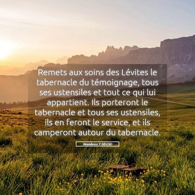Picture 05 - Nombres 1:50 LSG - Remets aux soins des Lévites le tabernacle du - Bible Verse Picture