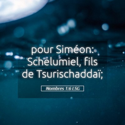 Picture 05 - Nombres 1:6 LSG - pour Siméon: Schelumiel, fils de - Bible Verse Picture