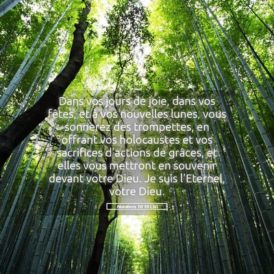 Picture 05 - Nombres 10:10 LSG - Dans vos jours de joie, dans vos fêtes, et à - Bible Verse Picture