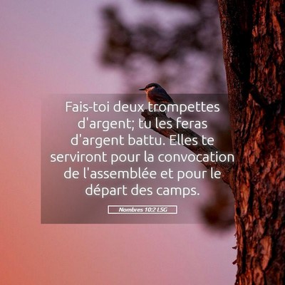 Picture 05 - Nombres 10:2 LSG - Fais-toi deux trompettes d'argent; tu les feras - Bible Verse Picture
