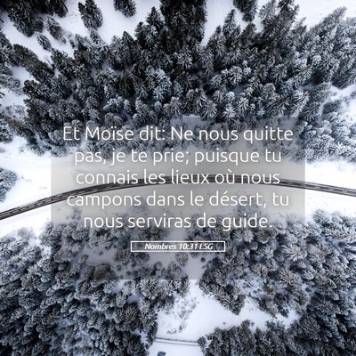 Picture 05 - Nombres 10:31 LSG - Et Moïse dit: Ne nous quitte pas, je te prie; - Bible Verse Picture