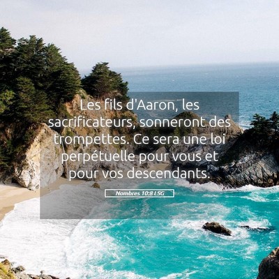 Picture 05 - Nombres 10:8 LSG - Les fils d'Aaron, les sacrificateurs, sonneront - Bible Verse Picture