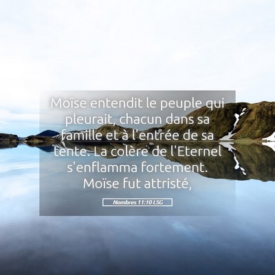 Picture 05 - Nombres 11:10 LSG - Moïse entendit le peuple qui pleurait, chacun - Bible Verse Picture