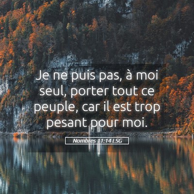 Picture 05 - Nombres 11:14 LSG - Je ne puis pas, à moi seul, porter tout ce - Bible Verse Picture
