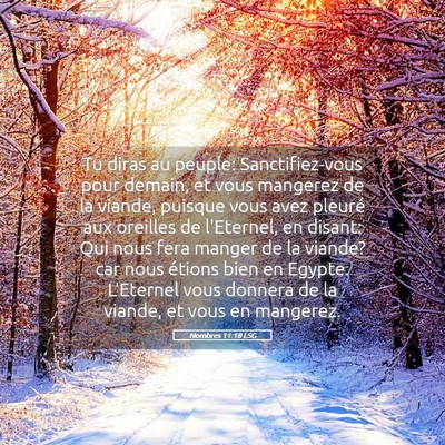 Picture 05 - Nombres 11:18 LSG - Tu diras au peuple: Sanctifiez-vous pour demain, - Bible Verse Picture