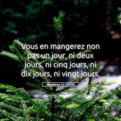 Picture 05 - Nombres 11:19 LSG - Vous en mangerez non pas un jour, ni deux jours, - Bible Verse Picture