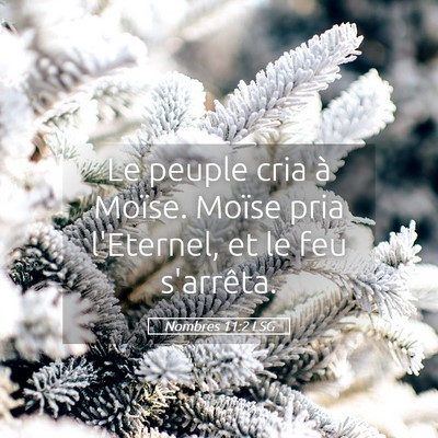 Picture 05 - Nombres 11:2 LSG - Le peuple cria à Moïse. Moïse pria l'Eternel, - Bible Verse Picture