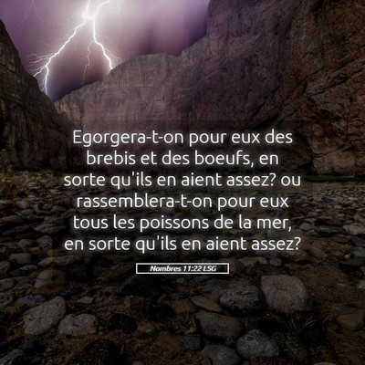 Picture 05 - Nombres 11:22 LSG - Egorgera-t-on pour eux des brebis et des boeufs, - Bible Verse Picture