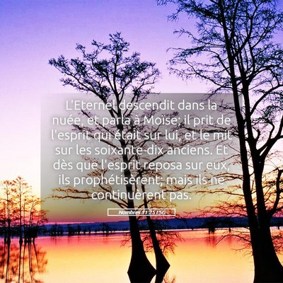 Picture 05 - Nombres 11:25 LSG - L'Eternel descendit dans la nuée, et parla à - Bible Verse Picture