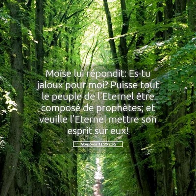 Picture 05 - Nombres 11:29 LSG - Moïse lui répondit: Es-tu jaloux pour moi? - Bible Verse Picture