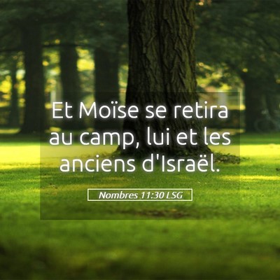 Picture 05 - Nombres 11:30 LSG - Et Moïse se retira au camp, lui et les anciens - Bible Verse Picture