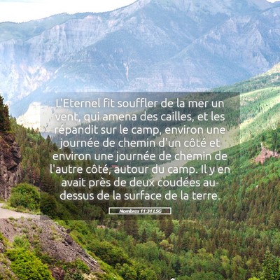 Picture 05 - Nombres 11:31 LSG - L'Eternel fit souffler de la mer un vent, qui - Bible Verse Picture