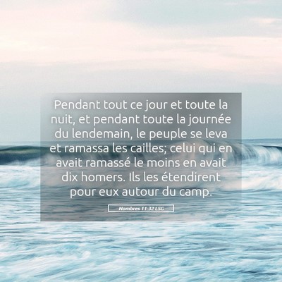 Picture 05 - Nombres 11:32 LSG - Pendant tout ce jour et toute la nuit, et pendant - Bible Verse Picture